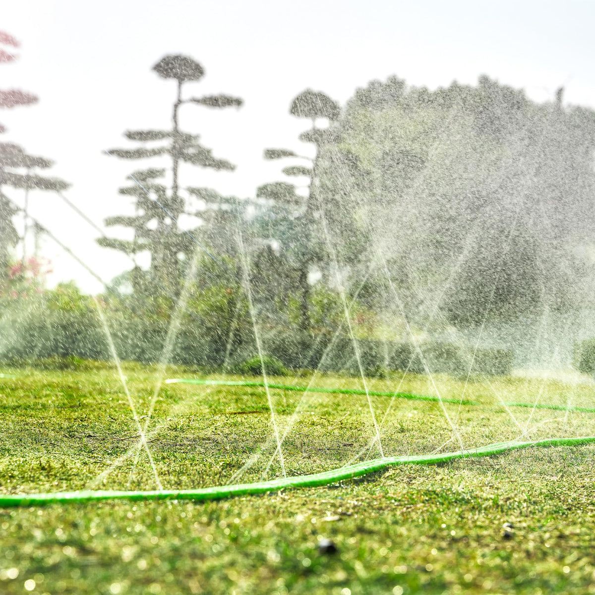 Oursieez all-in-one kit ready to use for garden, lawn, and beds.