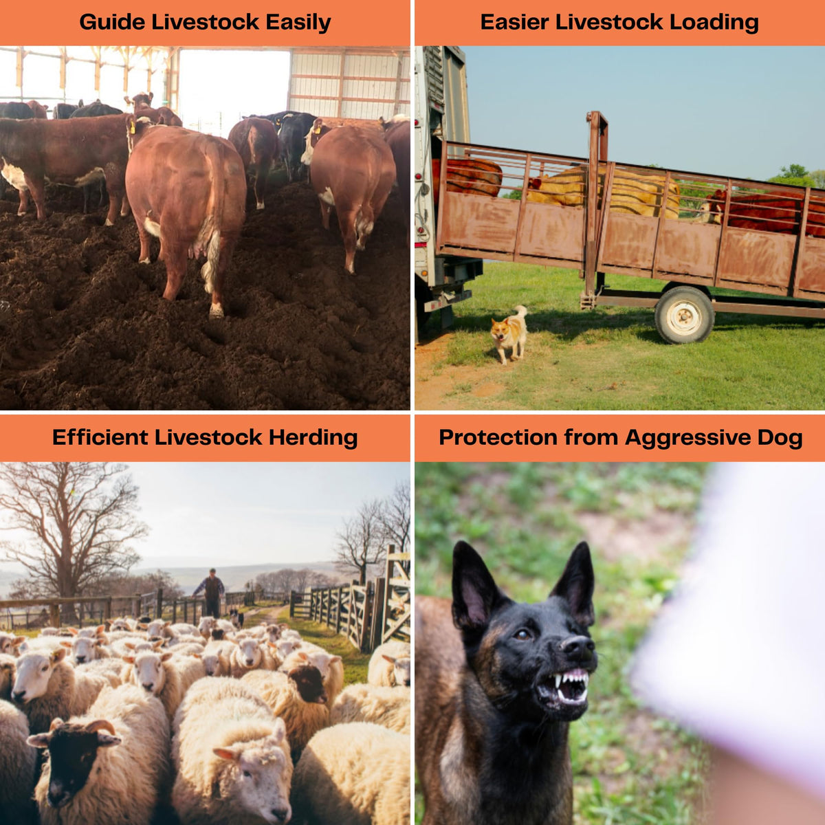 OUTPHORCE dual LED lights improve visibility for night-time cattle guidance