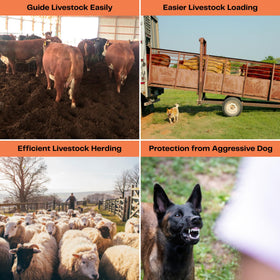 OUTPHORCE dual LED lights improve visibility for night-time cattle guidance