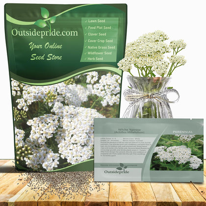 Outsidepride Achillea Millefolium Wild White Yarrow seeds package for a sunny garden.