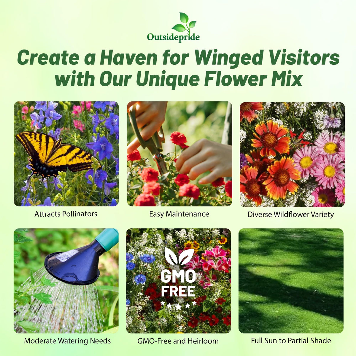 Outsidepride annual-perennial-blend-bloom seeds deliver year-round color