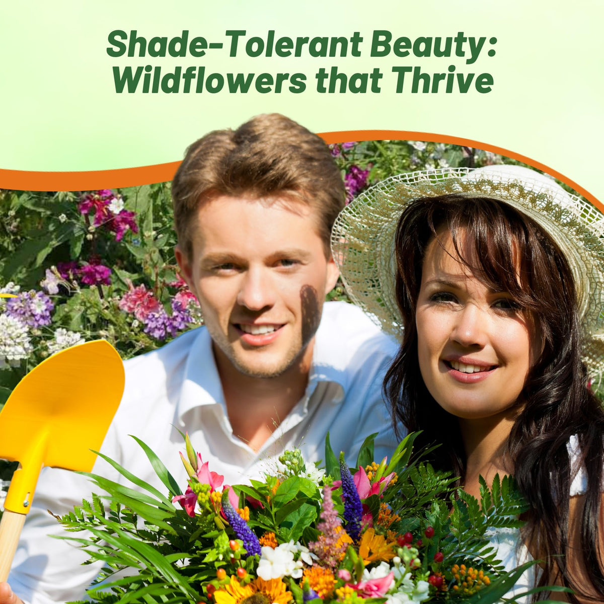 Outsidepride annual-perennial blend provides quick color and lasting garden structure.