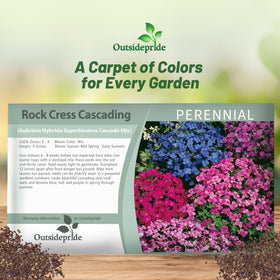 Outsidepride cascade blooms in blue, red, purple for rock walls