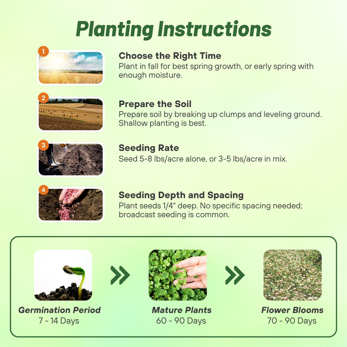 Outsidepride Balansa Clover shades soil to naturally suppress weeds.