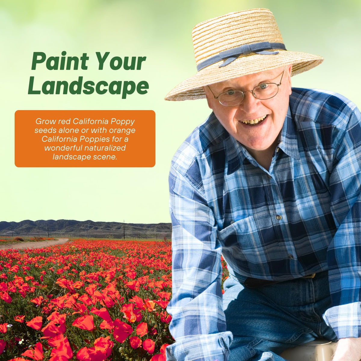 Bees visiting Outsidepride Red Chief blooms underscore pollinator-friendly garden benefits