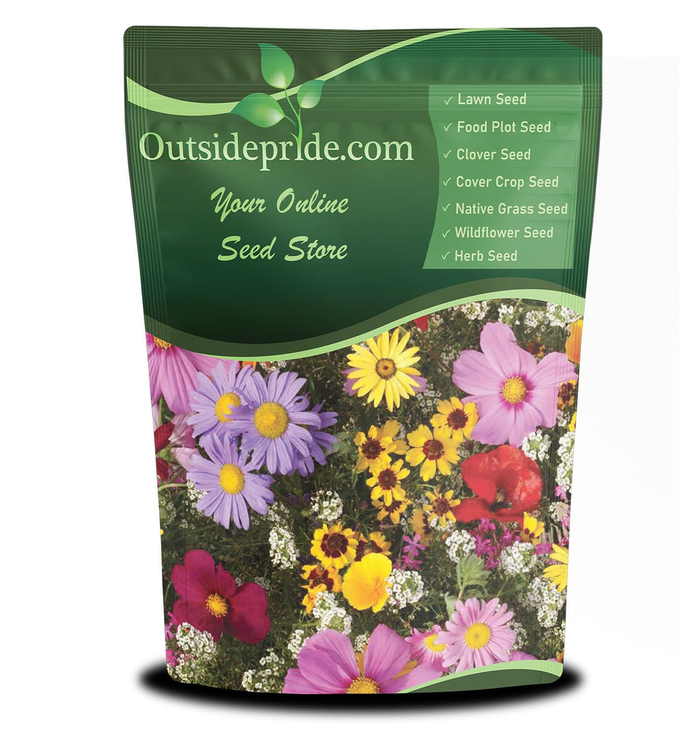 Outsidepride birds-butterfly-wildflower-meadow seeds attract pollinators in sunny yards