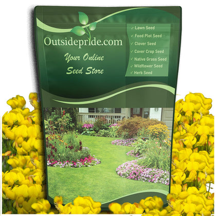 Outsidepride birdsfoot-trefoil seed bag 5lb for pasture establishment and grazing.