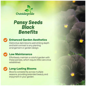 Outsidepride Black Viola Pansy Seeds germination in soil and sprouts