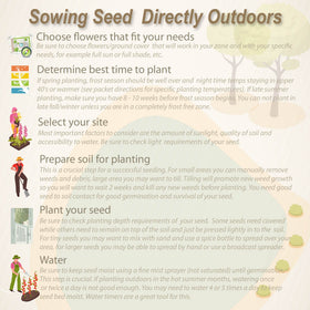 Direct sow blue flax in spring for easy germination and color.