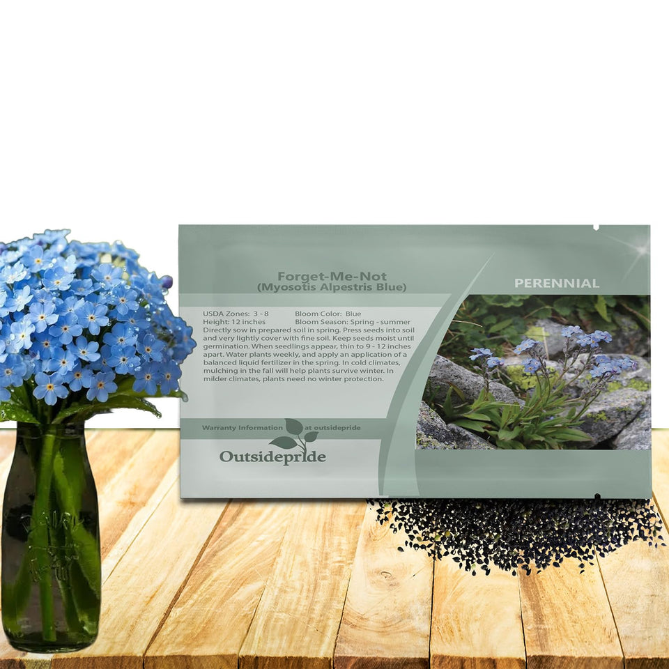 Outsidepride blue forget-me-not seeds close-up ready for dense blue blooms.