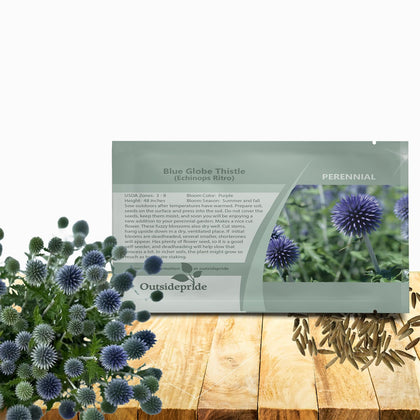 Outsidepride Blue Globe Thistle seeds with globe blooms ideal for border plantings.