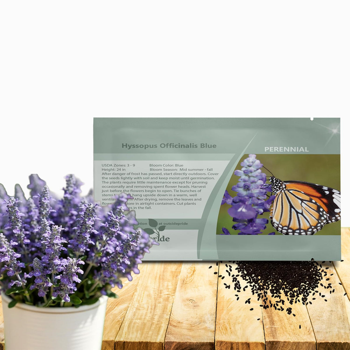 Outsidepride Blue Hyssop seeds package ready for garden planting and drought-tolerant landscaping.