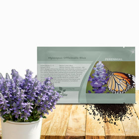 Outsidepride Blue Hyssop seeds package ready for garden planting and drought-tolerant landscaping.