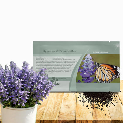 Outsidepride Blue Hyssop seeds package ready for garden planting and drought-tolerant landscaping.