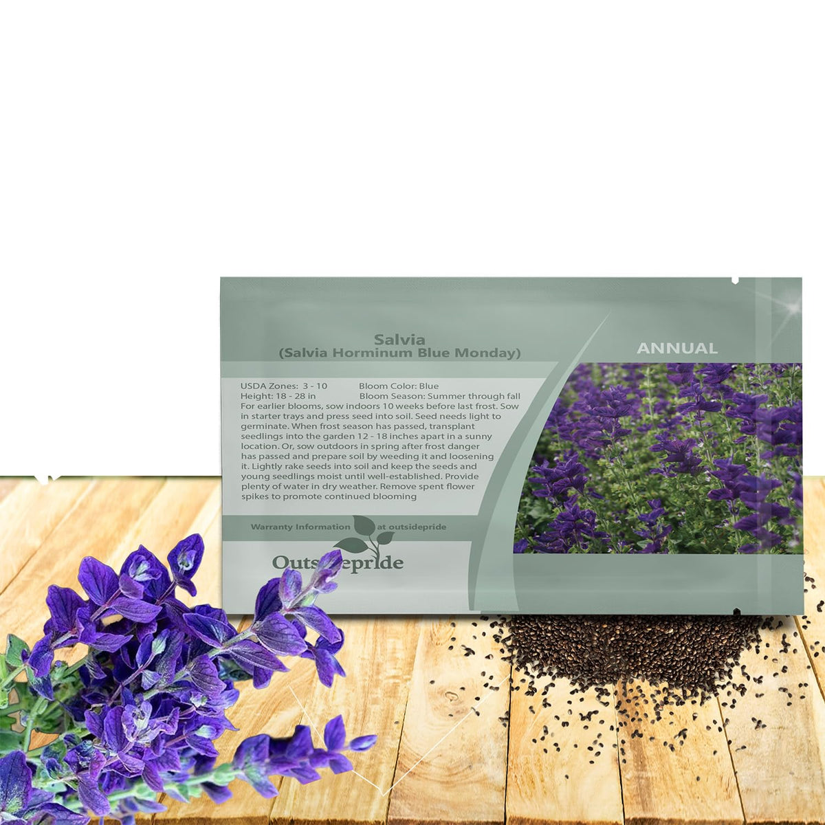 Outsidepride Blue Monday Salvia Seeds show vivid blue blooms for vibrant border displays