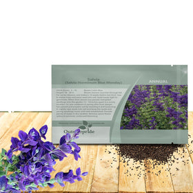 Outsidepride Blue Monday Salvia Seeds show vivid blue blooms for vibrant border displays