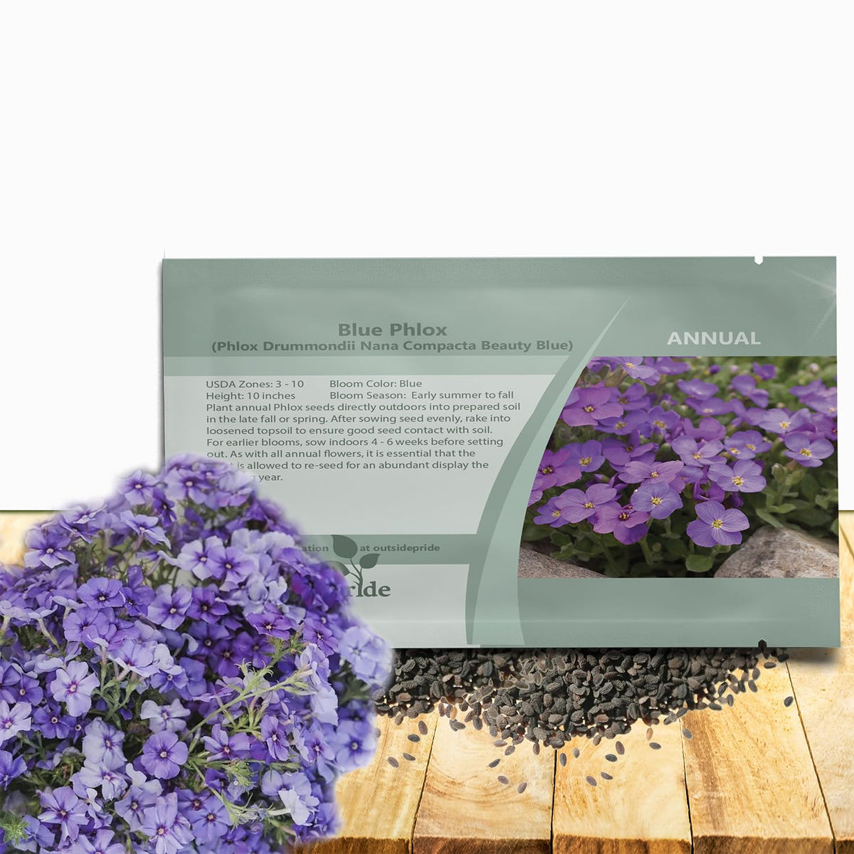 Outsidepride Blue Phlox seeds close-up bloom brighten beds and attract pollinators.