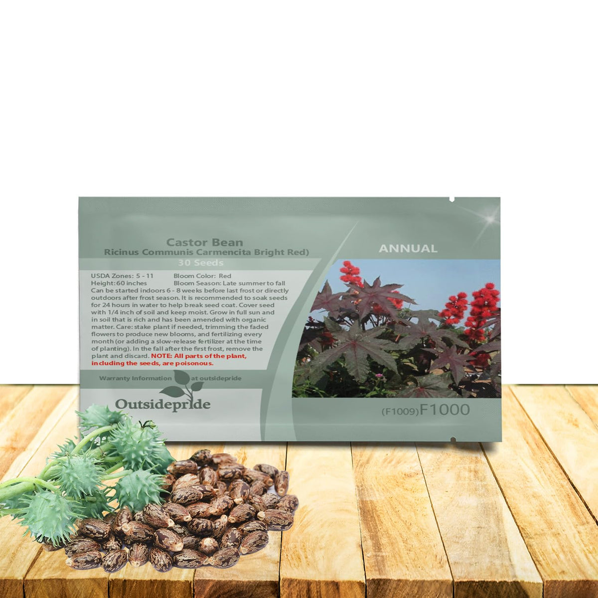 Outsidepride Bright Red Castor Bean Seeds show bold red foliage for dramatic borders