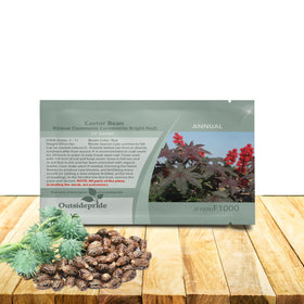 Outsidepride Bright Red Castor Bean Seeds show bold red foliage for dramatic borders