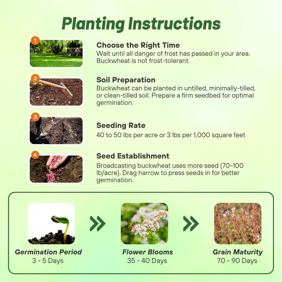 Outsidepride buckwheat soil improvement enhances soil structure and tilth.