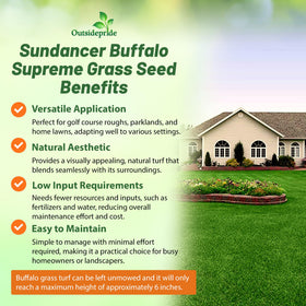 Outsidepride buffalo grass lawn with dense dark green turf after establishment.
