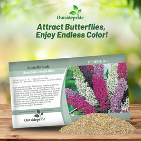 Outsidepride Butterfly Bush Mix Seeds grow tall with dramatic blooms in summer and fall.