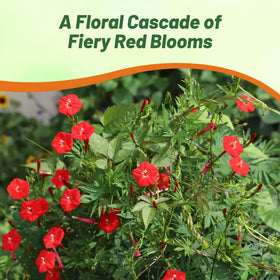 Outsidepride Cardinal Climber stands tall and deer-proof for resilient landscaping.