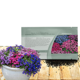 Outsidepride Cascade Mix Aubrieta seeds packet showing compact plants for baskets