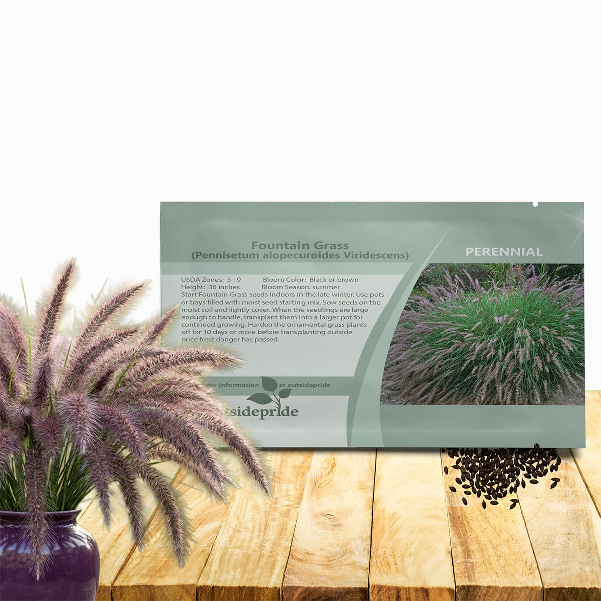 Outsidepride Chinese Pennisetum fountain plumes enhance sunny borders