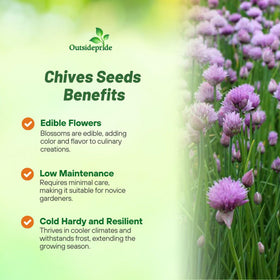 Outsidepride chives lavender flowers bloom, edible garnishes