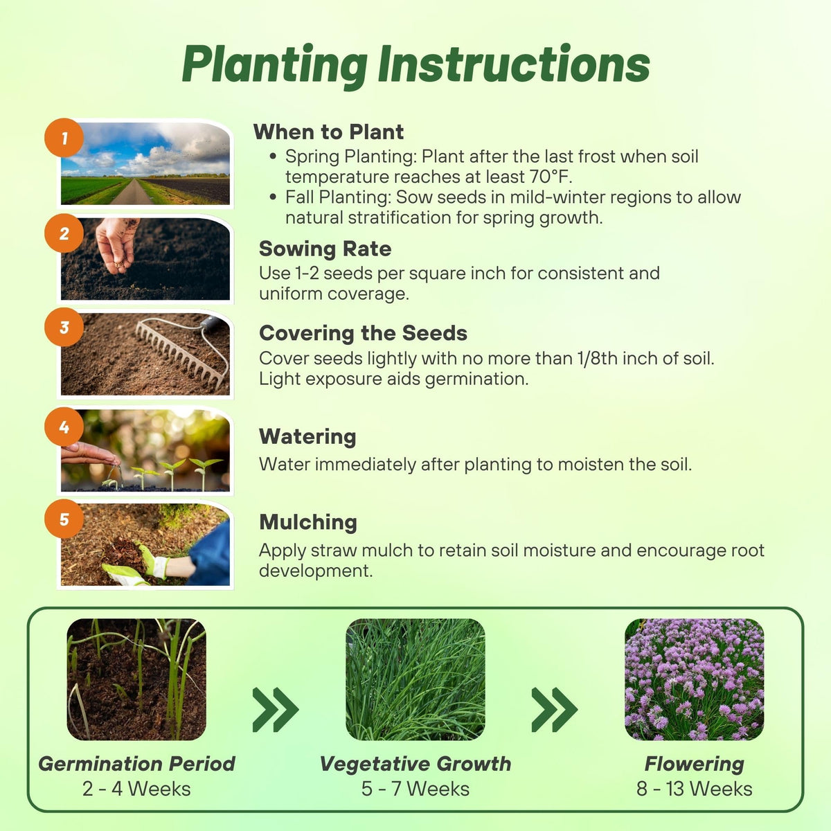 Outsidepride microgreens tray with chive sprouts ready to harvest
