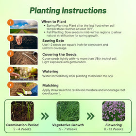 Outsidepride microgreens tray with chive sprouts ready to harvest