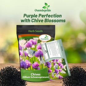 Outsidepride chives seeds germinating in soil; about 21 days at 70°F
