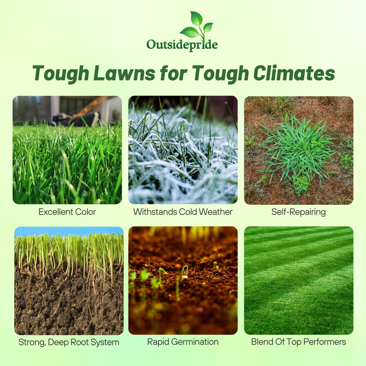 Outsidepride Combat Extreme Northern Zone with OptiGrowth enhances germination.