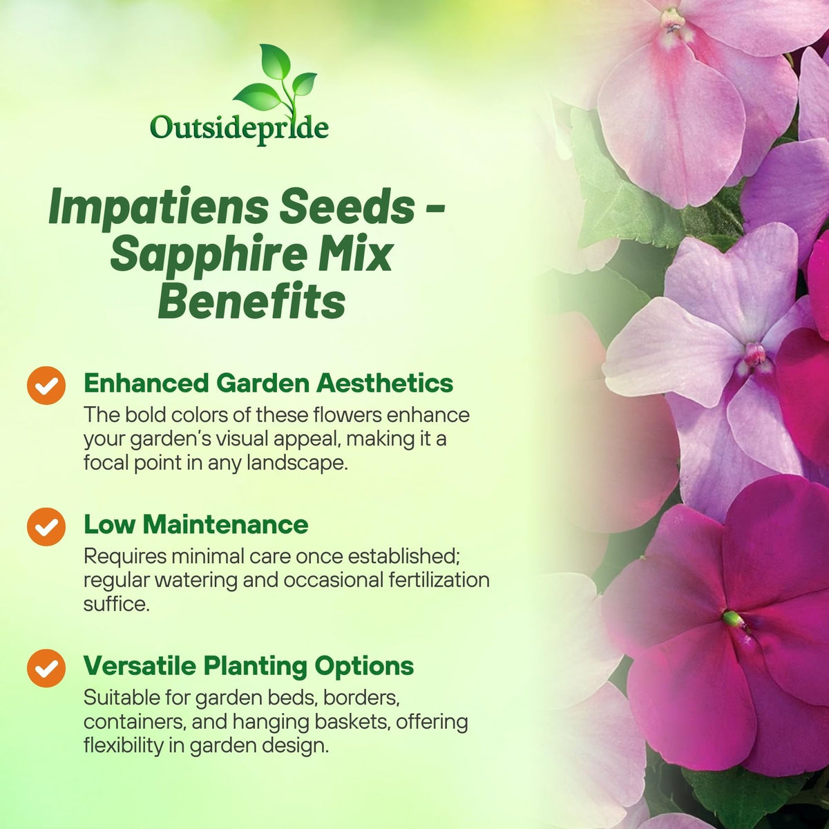 Outsidepride Xtreme Sapphire Mix Impatiens compact 8–10 inch plants for small spaces