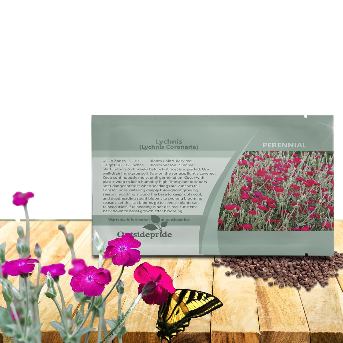 Outsidepride Coronaria Rose Lychnis seeds bundle for borders and containers.