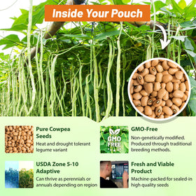Outsidepride cowpeas cover crop planted in field enhances soil structure and biodiversity