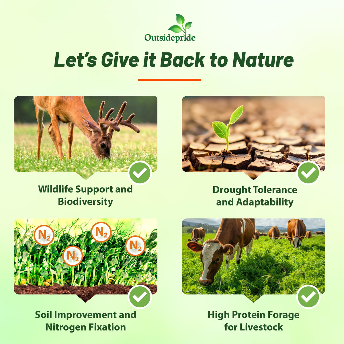 Outsidepride cowpeas forage seed supports deer and turkey forage in plots