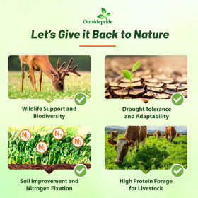 Outsidepride cowpeas forage seed supports deer and turkey forage in plots