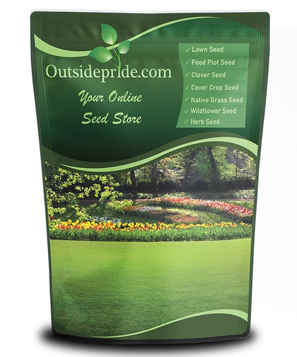 Outsidepride Creeping Red Fescue seed bag with OptiGrowth coating enhances germination and soil contact.