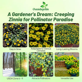 Outsidepride Creeping Zinnia seeds in a garden bed creating color and ground cover