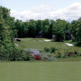 Outsidepride Crystal BlueLinks backyard-greens-application ideal for home lawn transformation.
