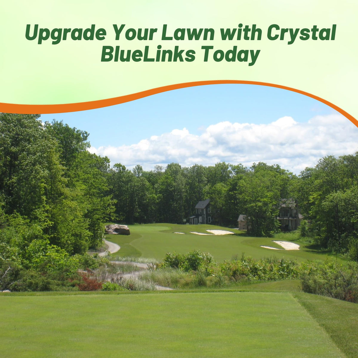 Outsidepride Crystal BlueLinks close-mowing 1/8 inch ready for precise greens.