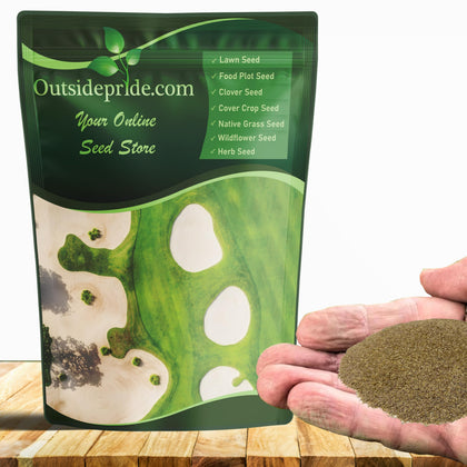 Outsidepride Crystal BlueLinks Creeping Bentgrass seed dense-turf close-up for premium greens.