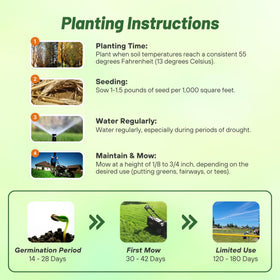 Outsidepride Crystal BlueLinks seed image highlights disease and shade resistance potential.