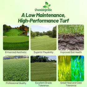 Outsidepride Crystal BlueLinks seed on putting-green surface showing professional quality.