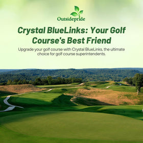 Outsidepride Crystal BlueLinks Bentgrass shows year-round durability for variable climates.