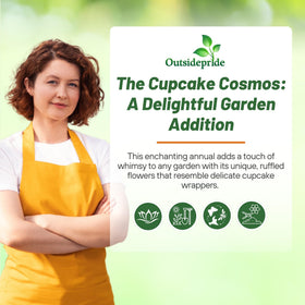 Outsidepride Cupcakes Blush Cosmos offer long-lasting color in sunny borders