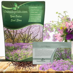 Outsidepride Dame's Rocket bloom clusters in fragrant colors attracting pollinators