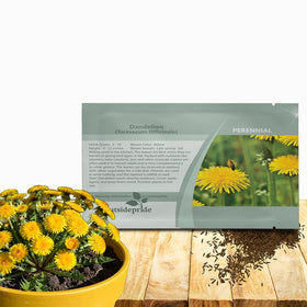Outsidepride dandelion seeds show perennial growth for a dependable garden backdrop.